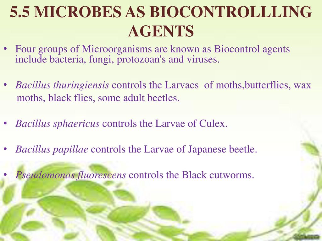 microbe biocontrol agents microbe biocontrol agents