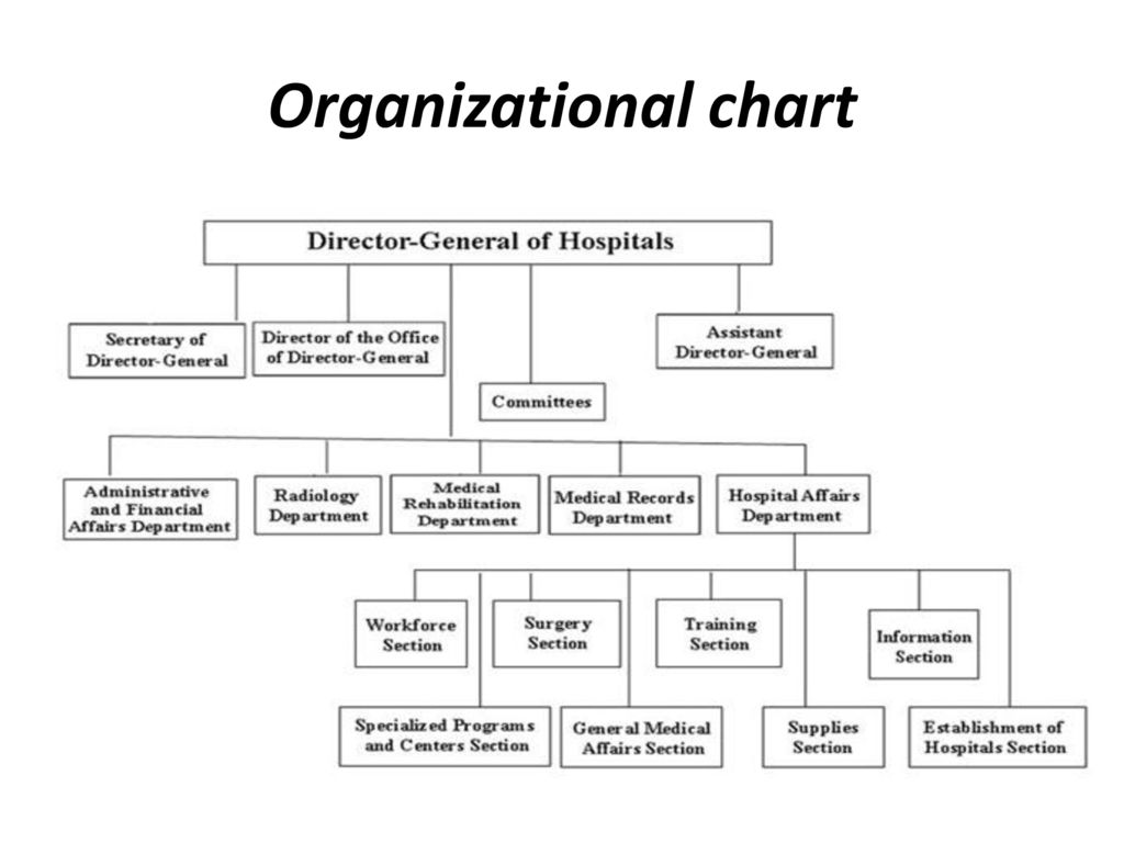Hospital Department Organizational Chart