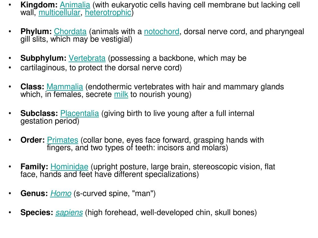 Classification. - ppt download