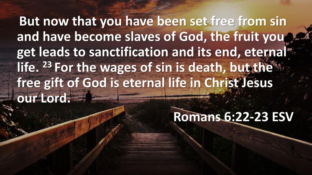 But now that you have been set free from sin and have become slaves of God, the fruit you get leads to sanctification and its end, eternal life.