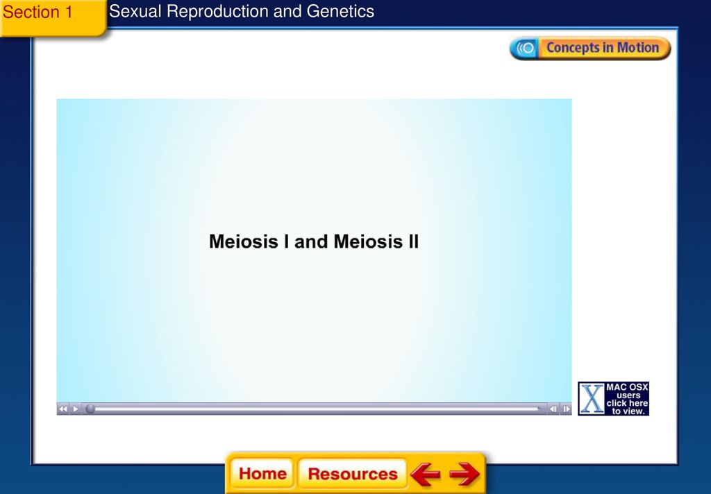 Sexual Reproduction And Genetics Section 1 Meiosis Section 2