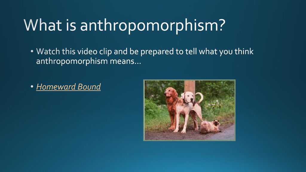 What is anthropomorphism