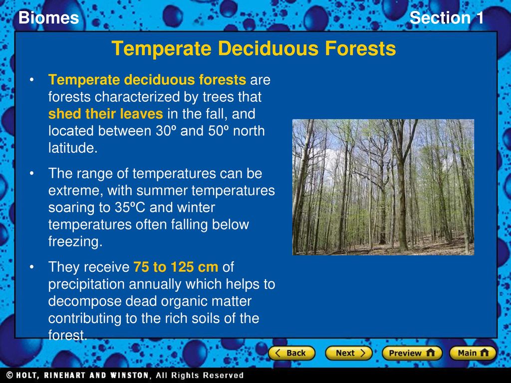 Section 1 What is a Biome? ppt download Section 1 What is a Biome? ppt download