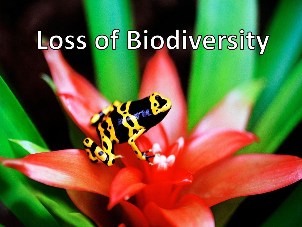 Loss of Biodiversity. Biology Diagrams