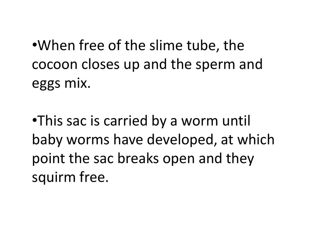 Slime Sperm