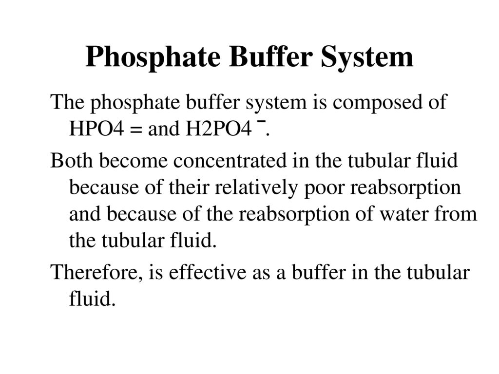 Regulation of Acid-Base Balance - ppt download