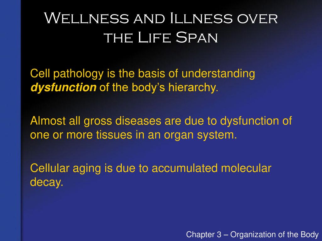 Wellness and Illness over the Life Span