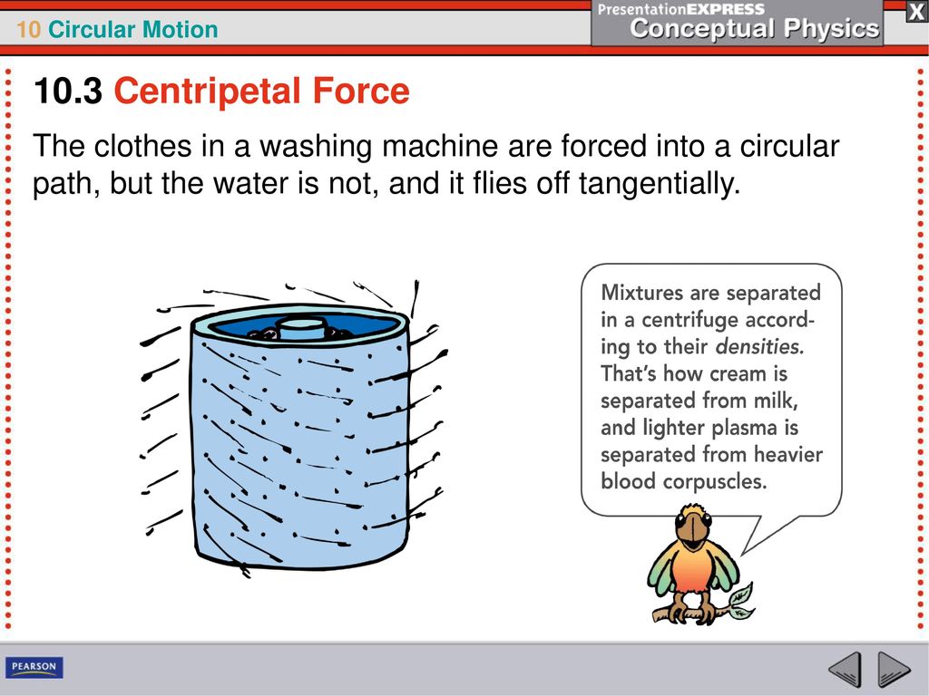 Centripetal force keeps an object in circular motion. - ppt download