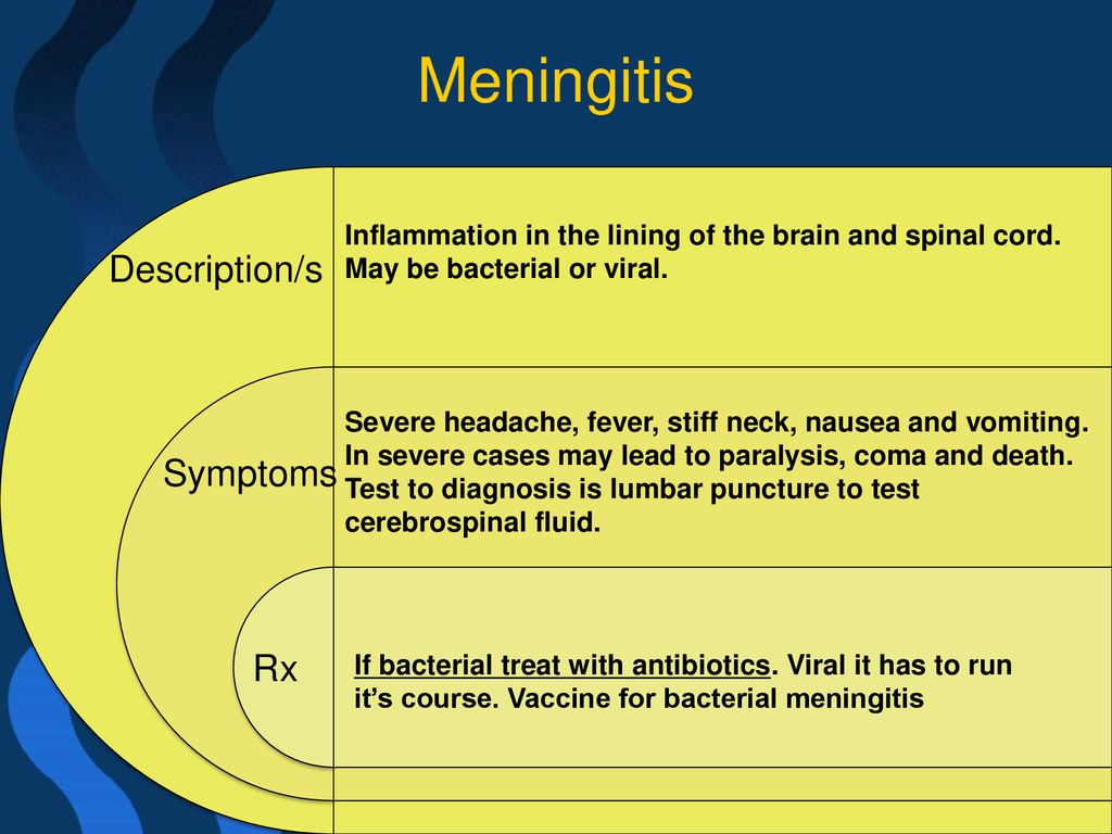 THE NERVOUS SYSTEM. - ppt download