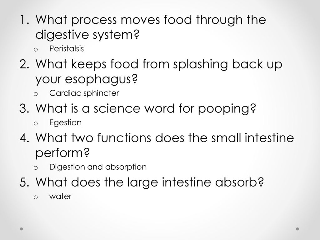What Process Moves Food Through The Digestive System Ppt Download what-process-moves-food-through-the-digestive-system-ppt-download