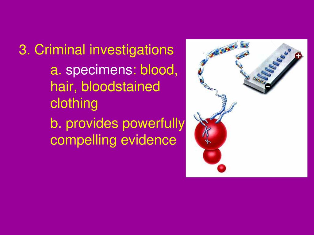 Unit E Forensic Medicine. - Ppt Download