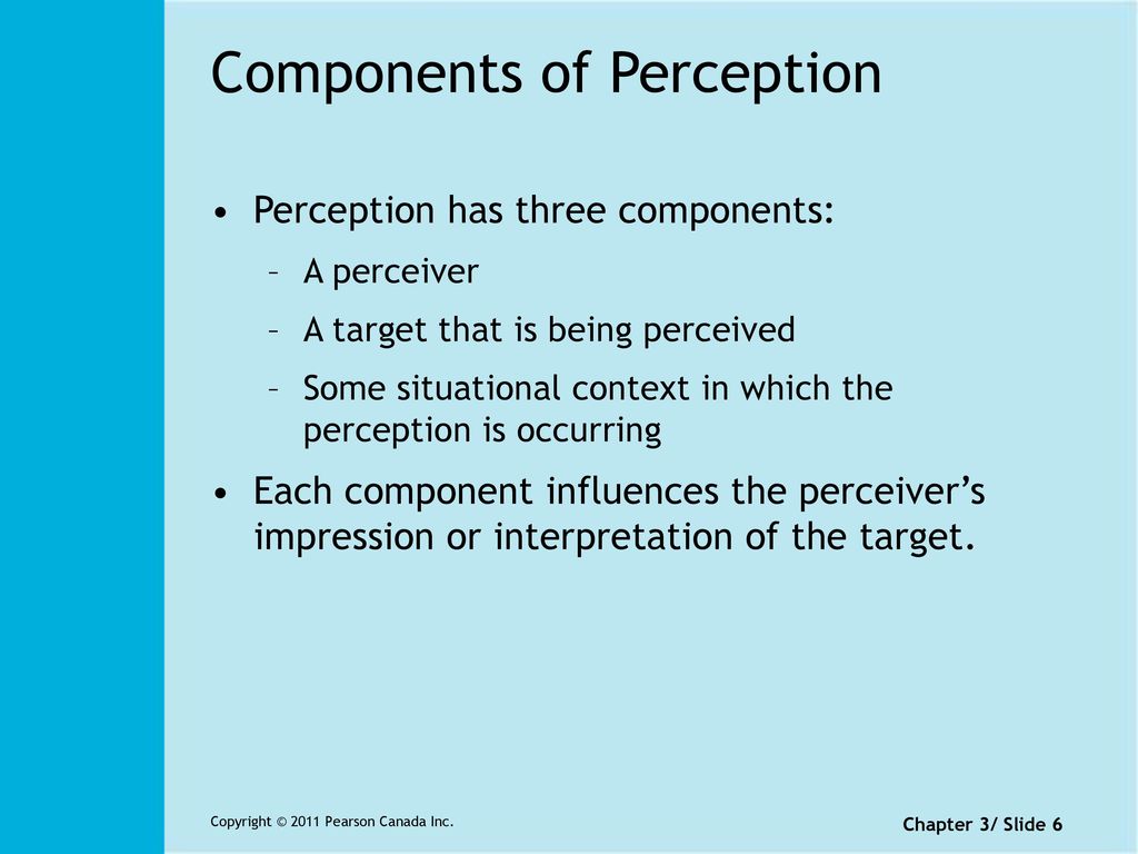 what is described by the concept of perception
