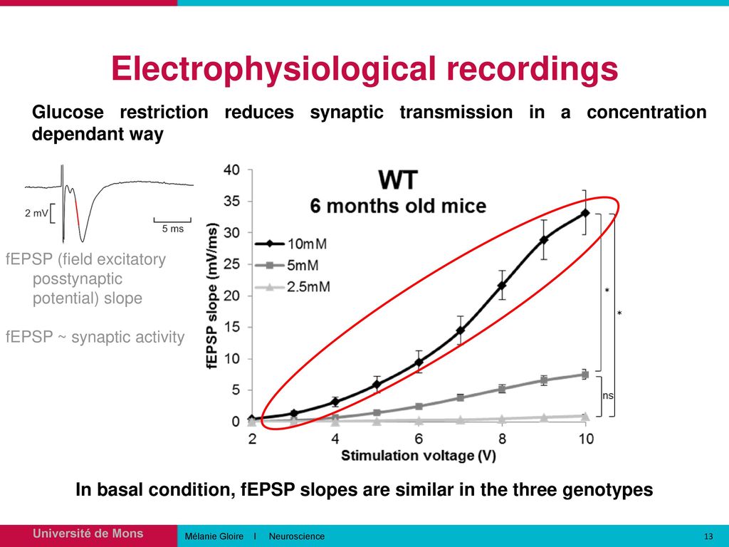 Electrophysiological recordings