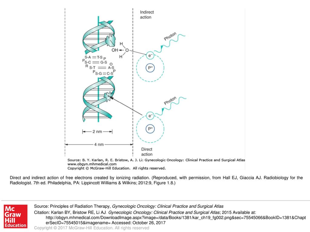 Radiobiology For The Radiologist Book Read Online Free Top 5