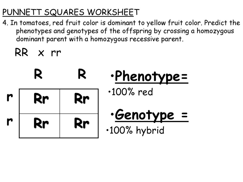 Topic Genetics Aim What Are Punnett Squares Ppt Download