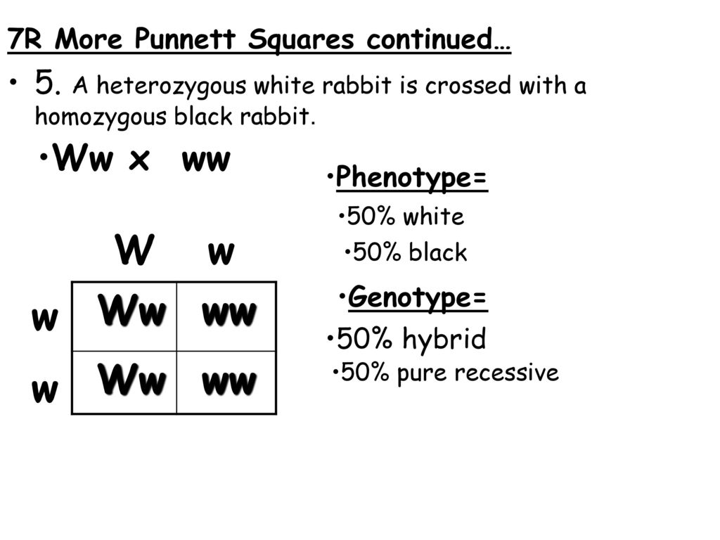 Topic Genetics Aim What Are Punnett Squares Ppt Download