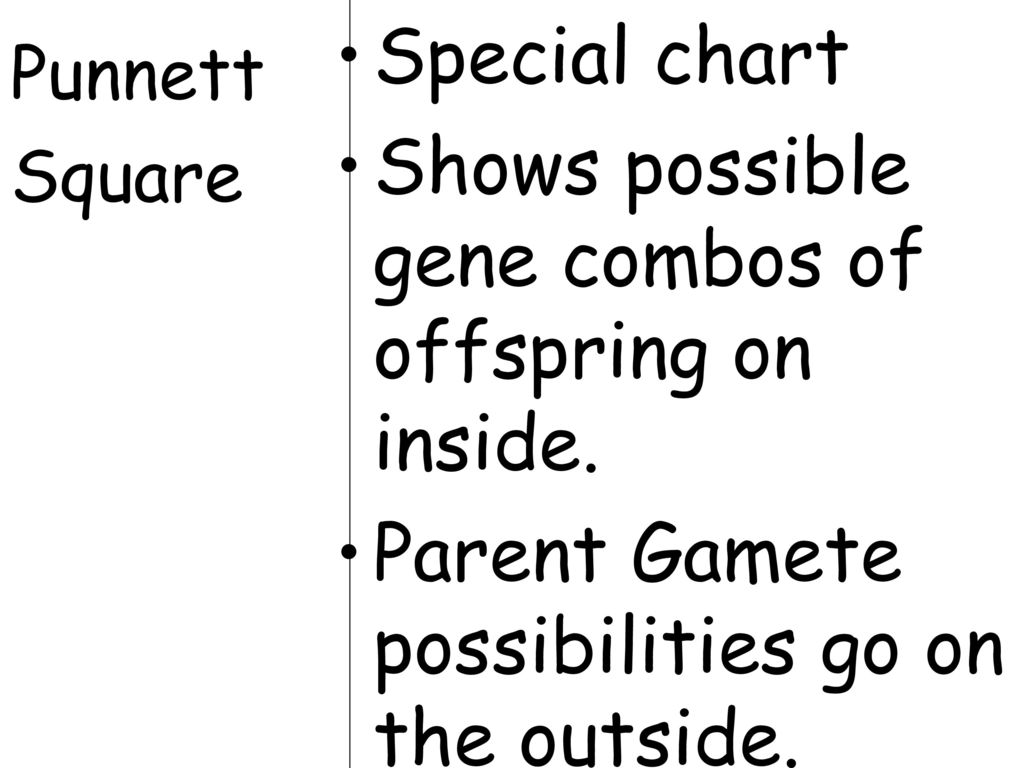 Chart That Shows Possible Gene Combinations