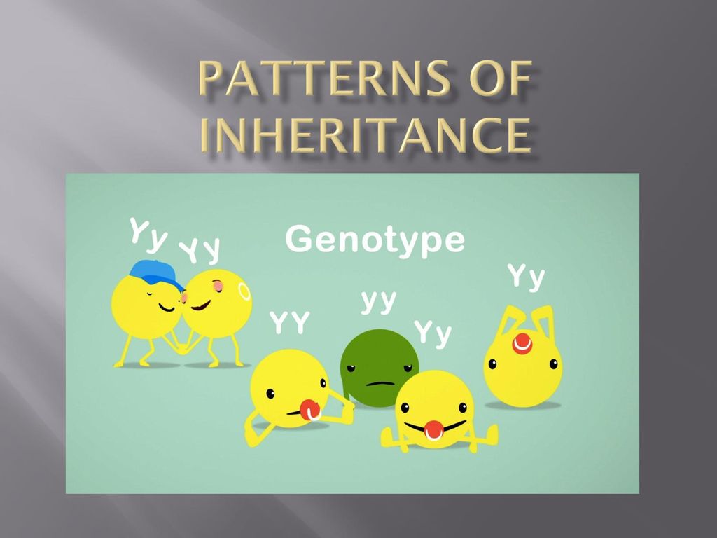 Patterns Of Inheritance - Ppt Download