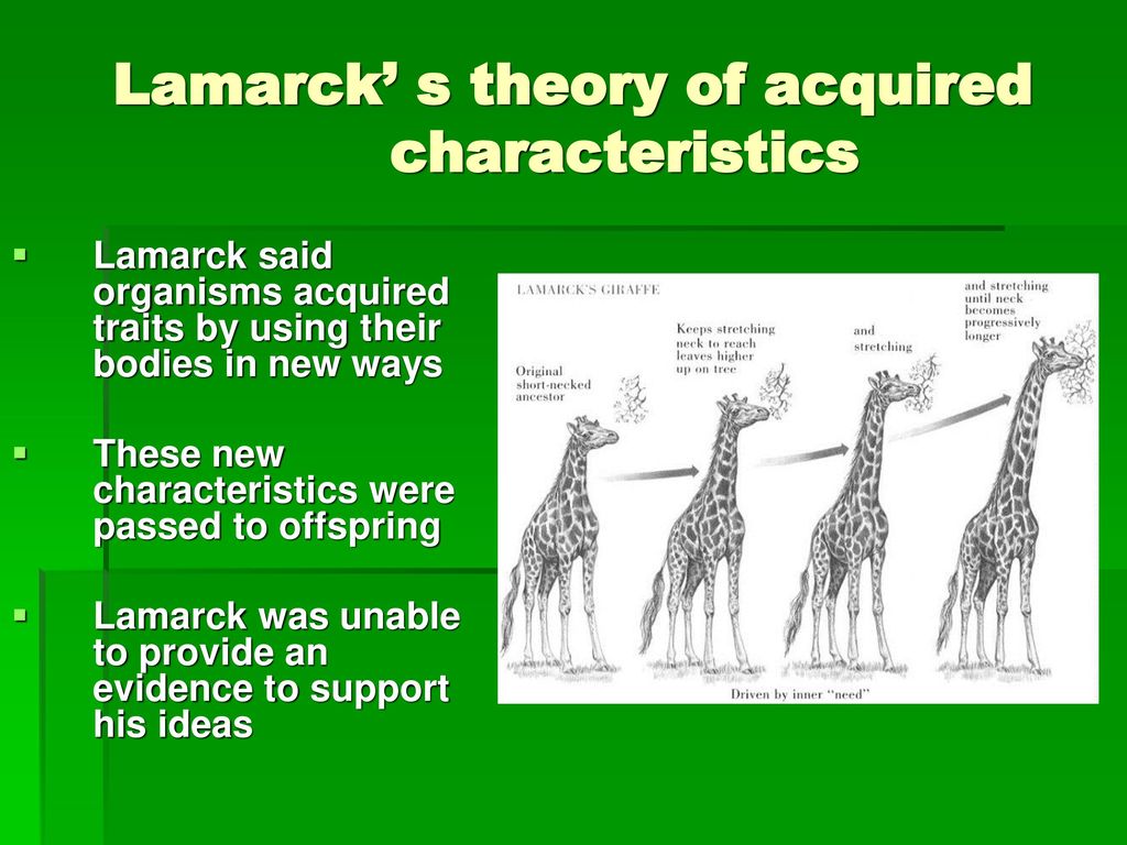 Evolution Evolution –process through which species change over time ...