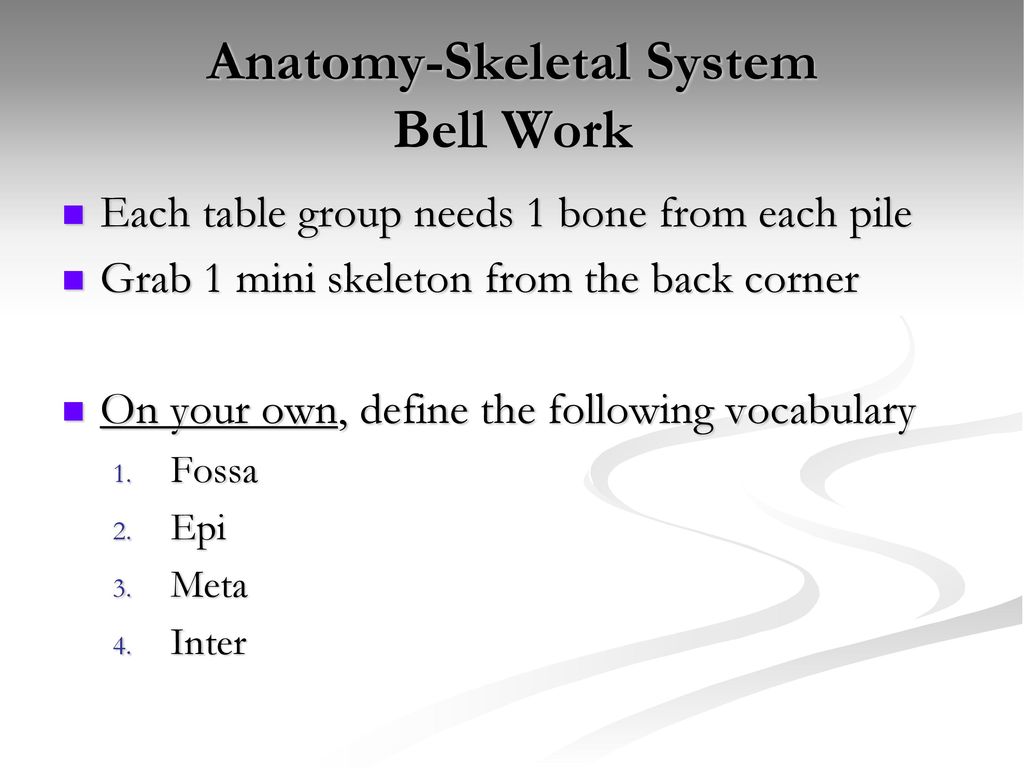 Anatomy-Skeletal System - ppt download