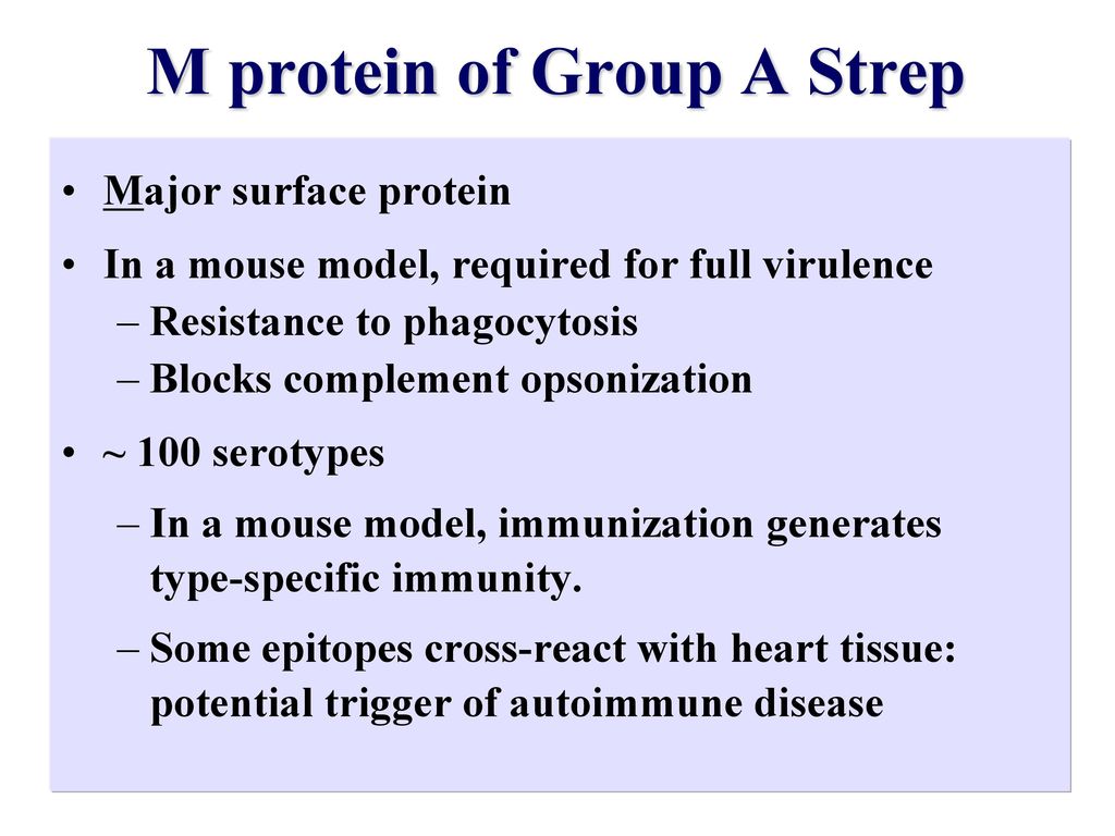 M protein of Group A Strep