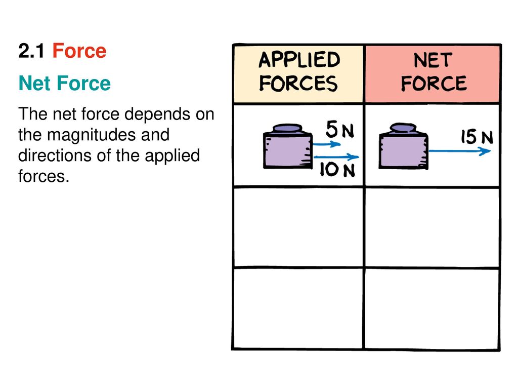 Directions of support force provided by ten bra components: (A