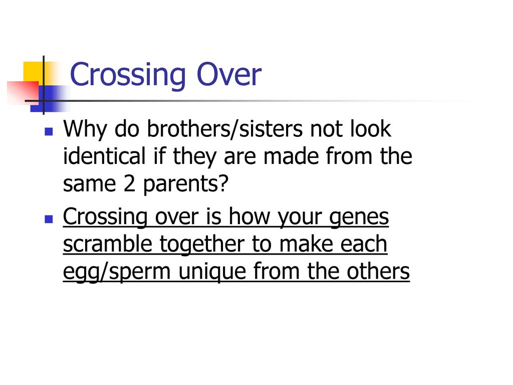 Crossing Over Why do brothers/sisters not look identical if they are made from the same 2 parents
