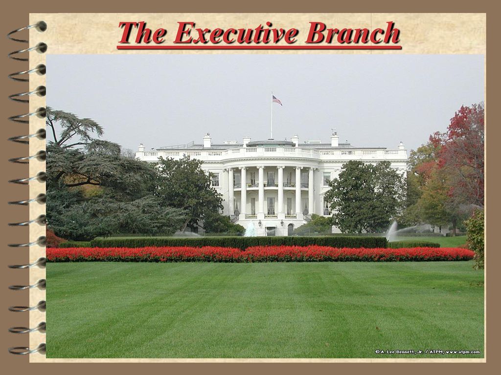 The Executive Branch. - Ppt Download