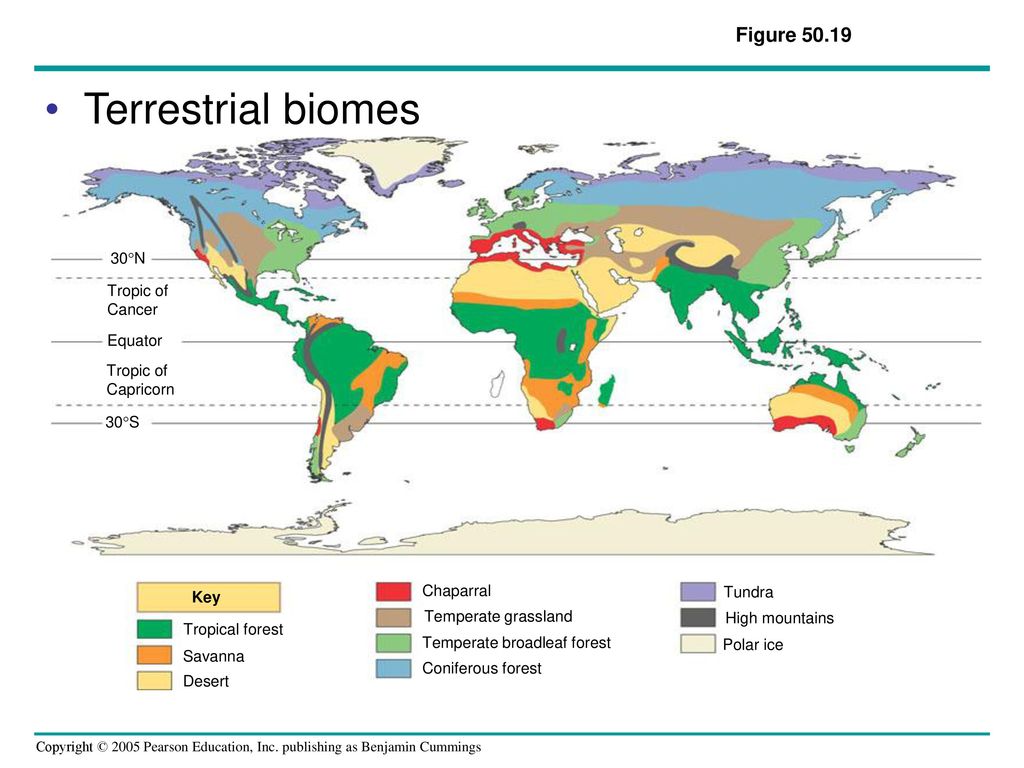 Introduction to Ecology and the Biosphere - ppt download