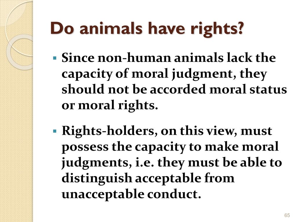 Animal Rights. - ppt download Animal Rights. - ppt download