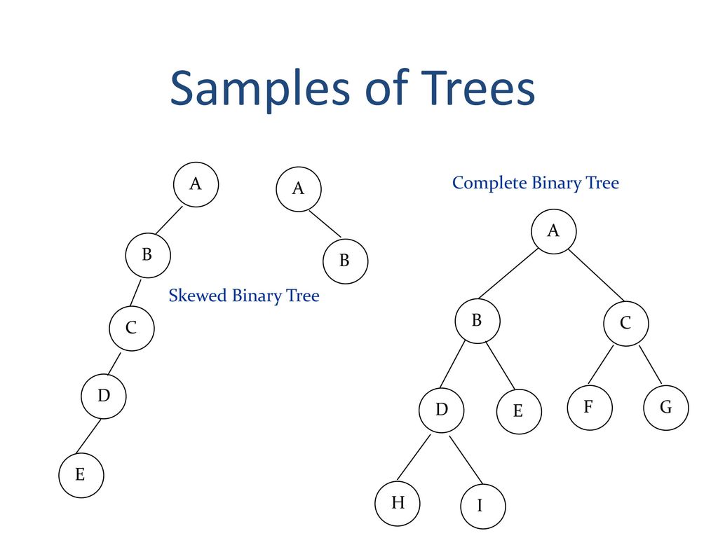 Trees. - ppt download