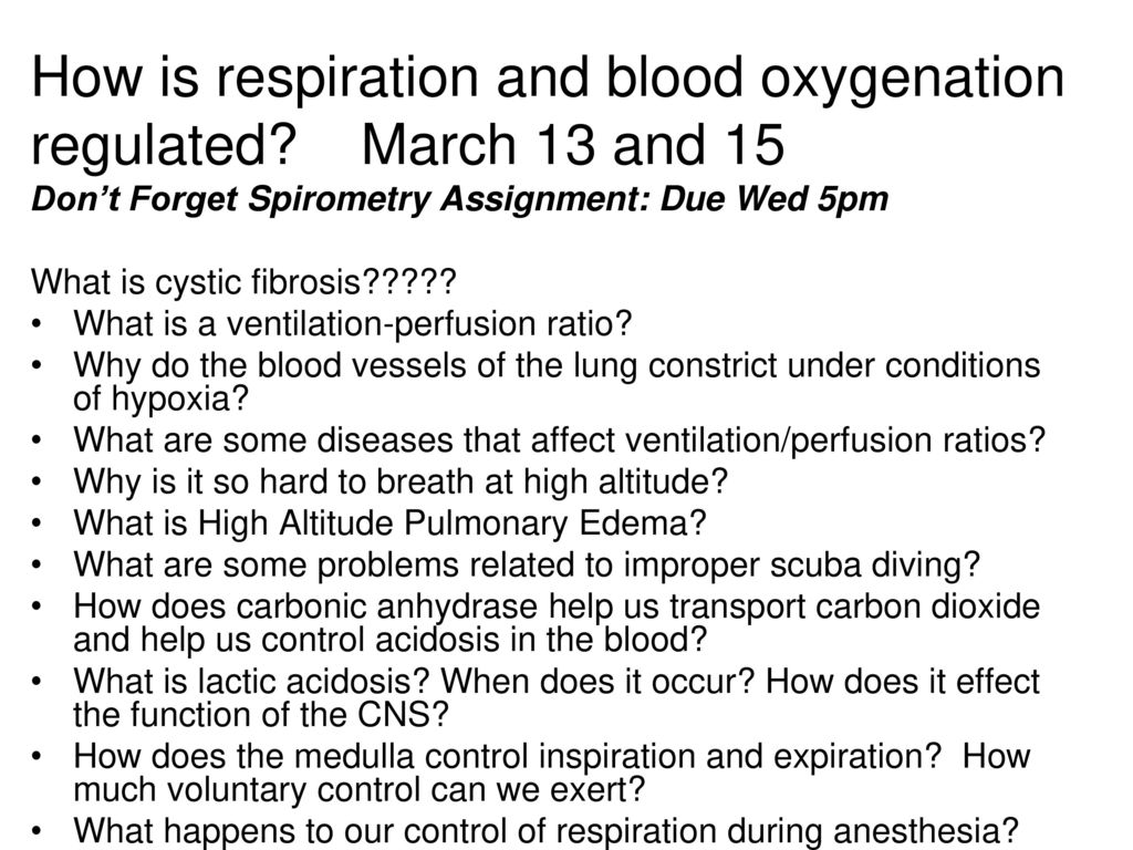 How is respiration and blood oxygenation regulated? March 13 and ppt