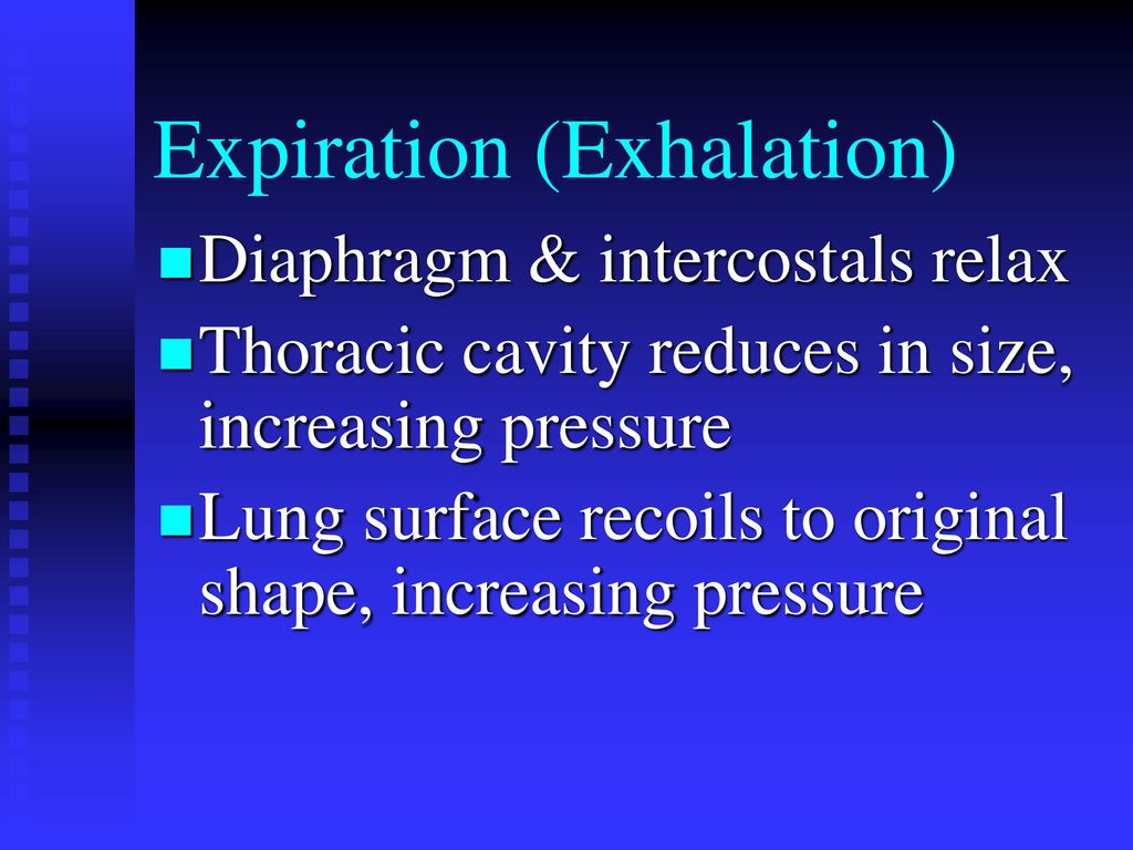 The Respiratory System - ppt download