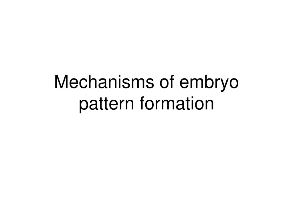Mechanisms of embryo pattern formation
