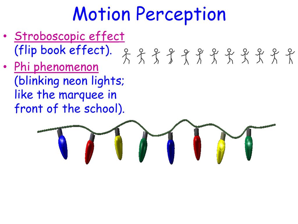 Stroboscopic Movement Psychology