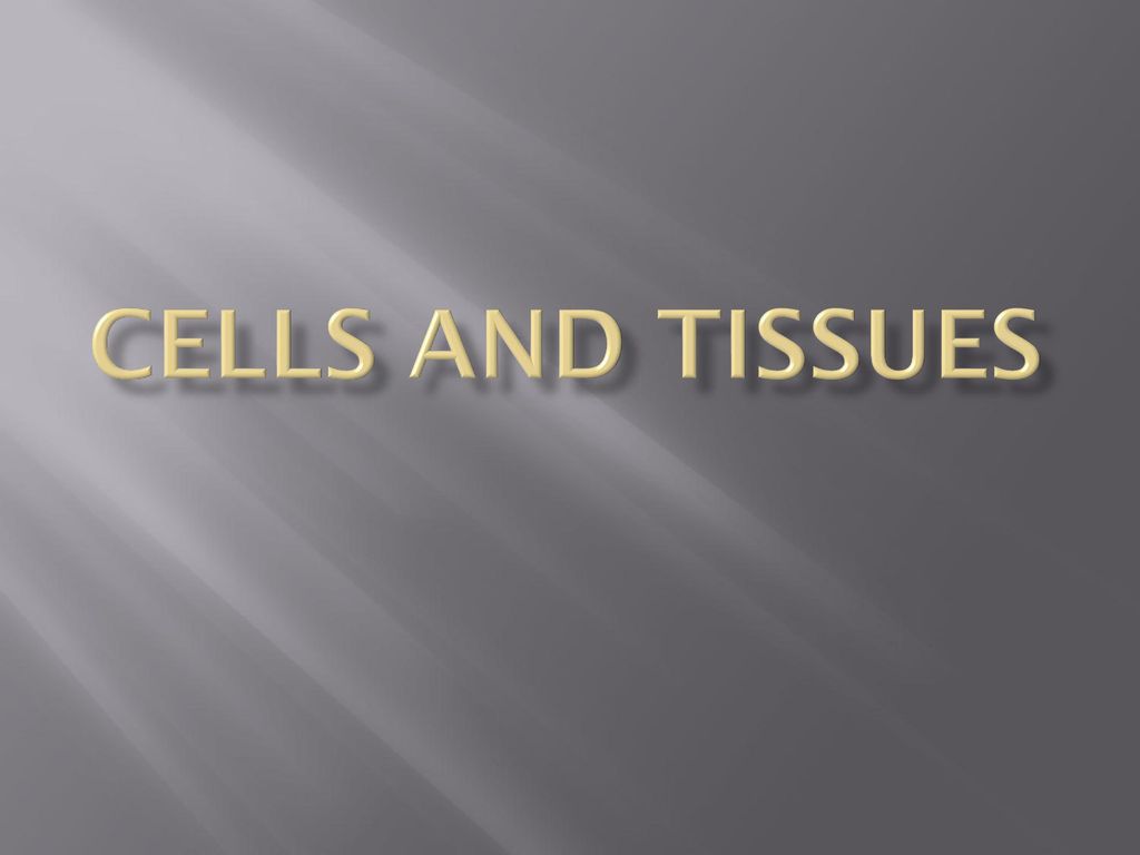 Cells and tissues. Biology Diagrams