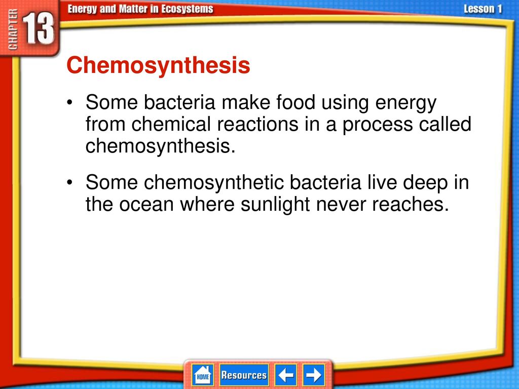 Chapter Menu Lesson 1 Producers And Consumers Ppt Download chapter-menu-lesson-1-producers-and-consumers-ppt-download