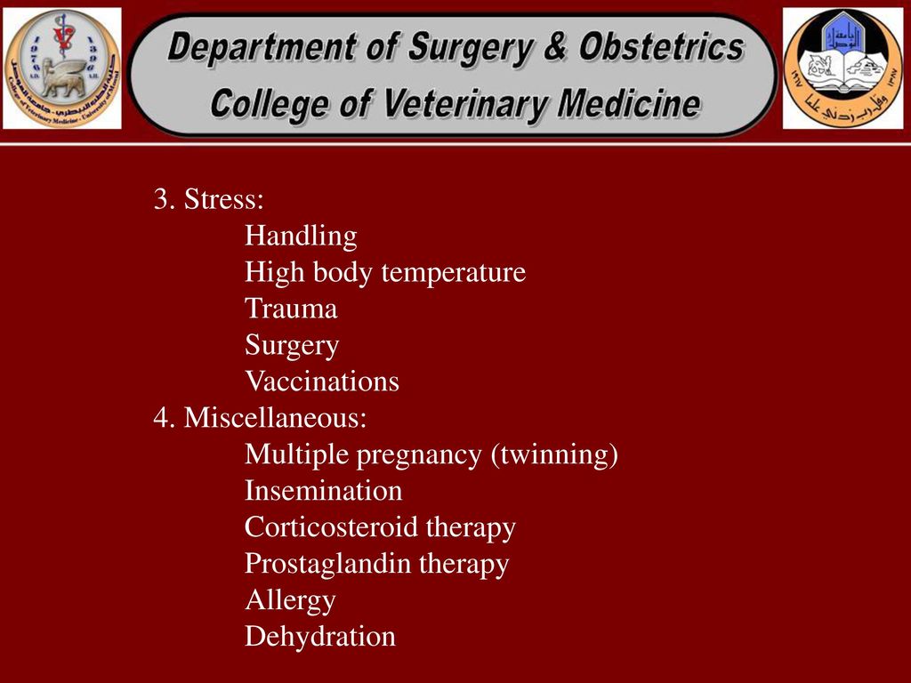 3. Stress: Handling. High body temperature. Trauma. Surgery. Vaccinations. 4. Miscellaneous: Multiple pregnancy (twinning)