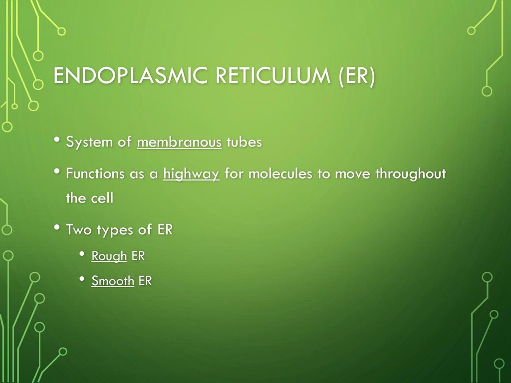 Cell Structure & Function - ppt download