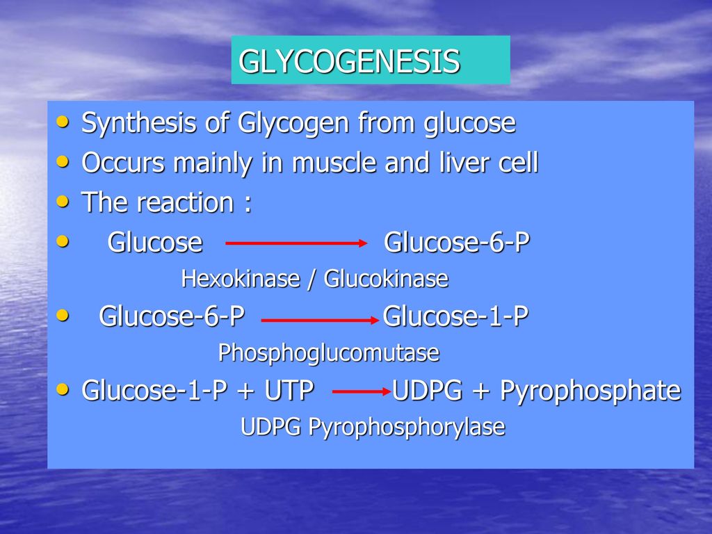 GLYCOGENESIS Synthesis of Glycogen from glucose