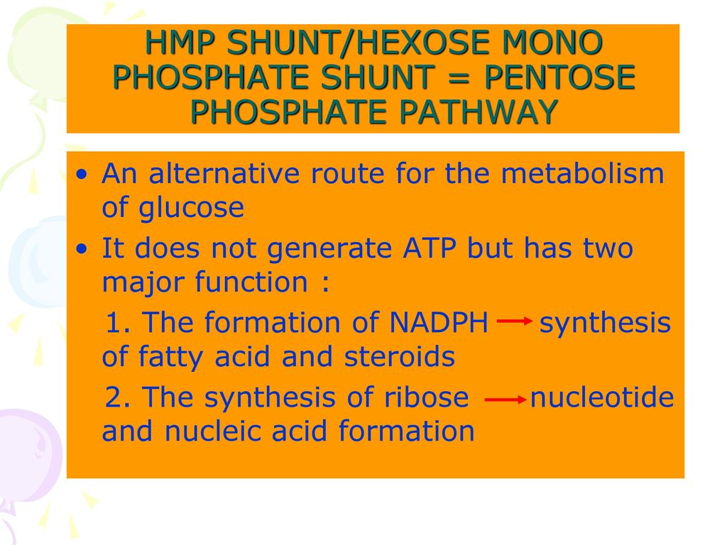 HMP SHUNT/HEXOSE MONO PHOSPHATE SHUNT = PENTOSE PHOSPHATE PATHWAY
