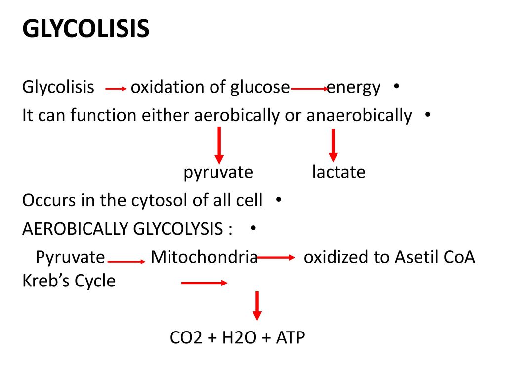 GLYCOLISIS Glycolisis oxidation of glucose energy