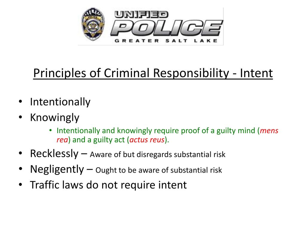 Principles of Criminal Responsibility - Intent