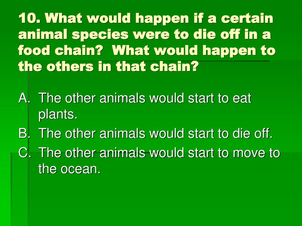 Food Chains Food Webs EO 4 Review Biology Diagrams