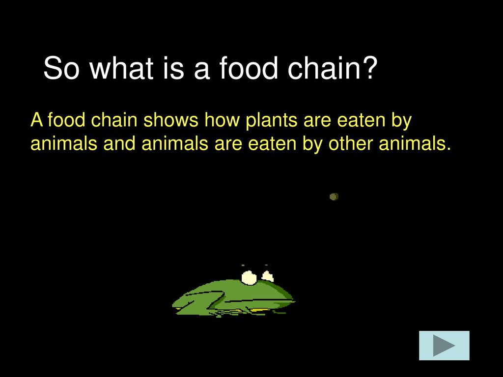 ppt download Biology Diagrams