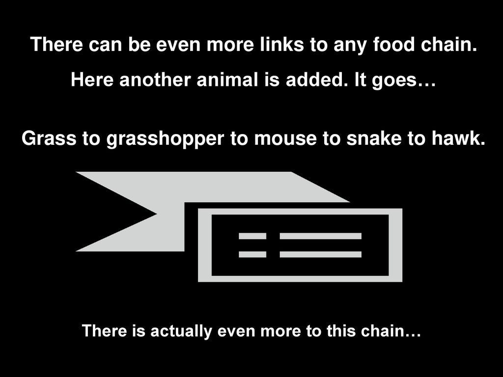 food-chain-ppt-download