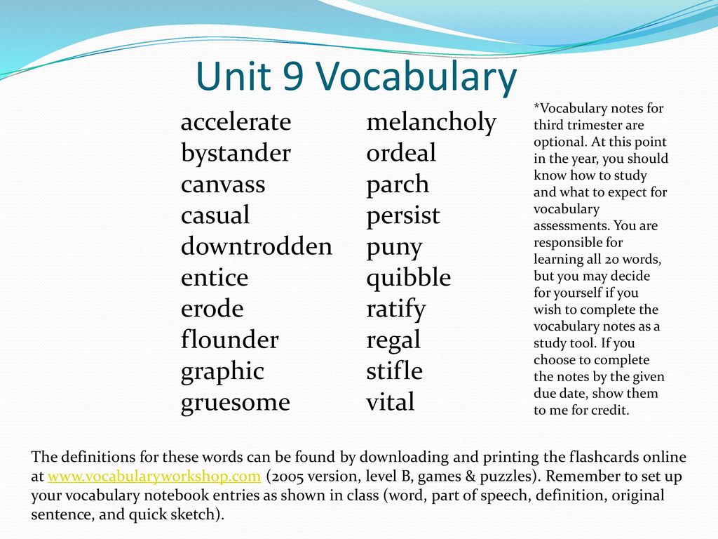 Unit 9 vocabulary