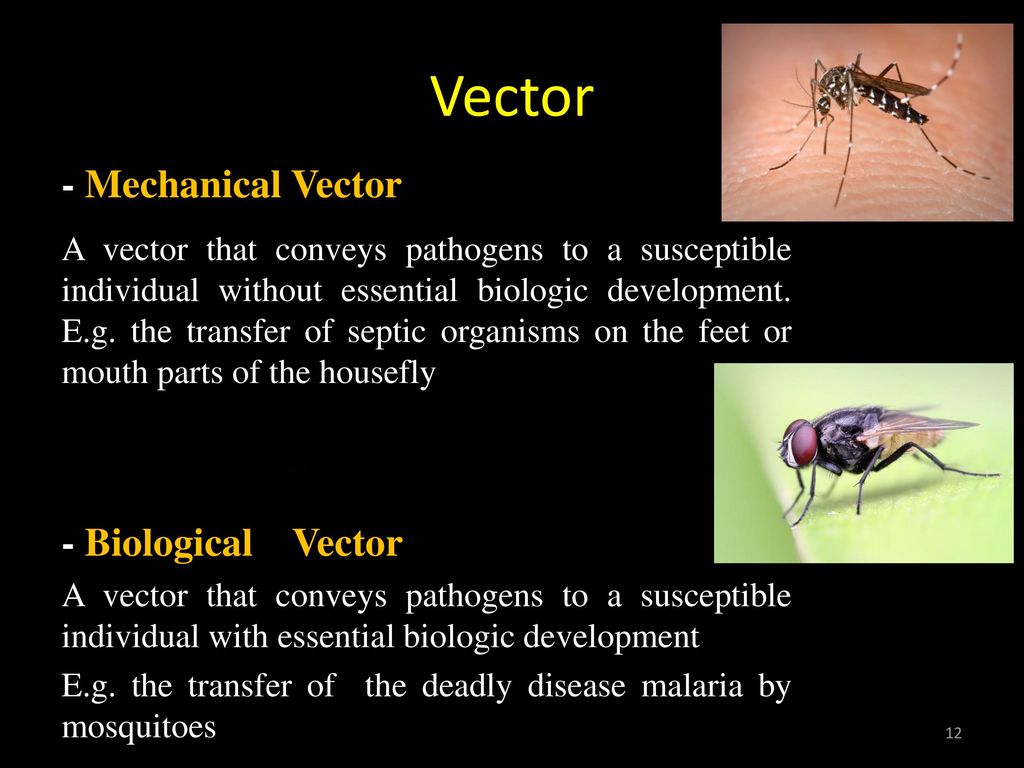 Introduction to parasitology ppt download