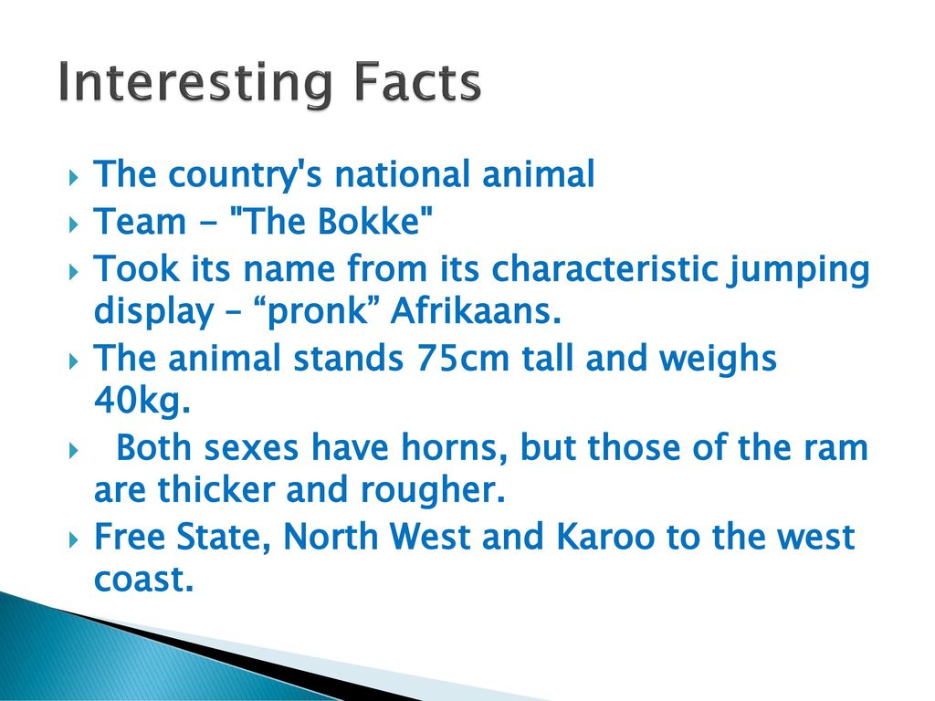 Interesting Facts The country s national animal Team - The Bokke