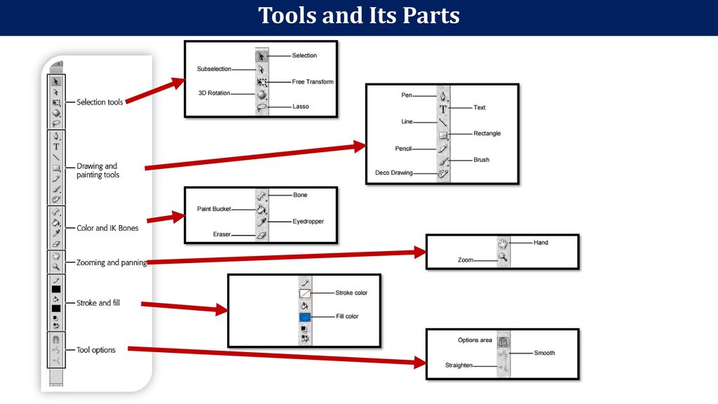 Adobe Flash Cs6 Tools And Functions Ppt Download